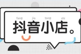 张静静《新手小白抖店运营》