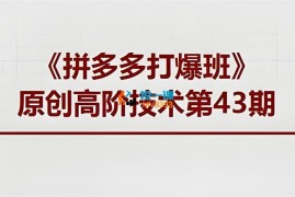 叮当会《拼多多高价虚拟项目》