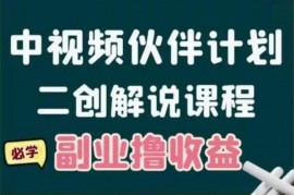 二创解说《中视频伙伴计划陪跑课》