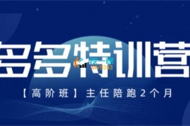 纪主任《多多特训营4月迭代版》