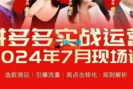 推易《2024年7月拼多多实战运营现场课程》