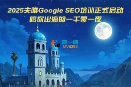 夫唯《Google独立站SEO系统教程》