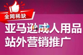 众筹：亚马逊成人用品站外营销推广