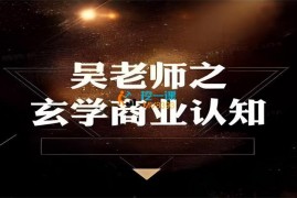 吴金宸《玄学商业认知课》