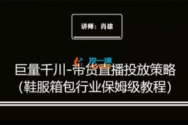 肖雄《巨量千川带货直播投放策略》