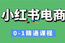 77《小红书电商从0-1实操运营》