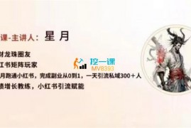 众筹：生财星月·小红书暴力引流实战课