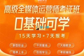 众筹：高级全媒体运营师考证班