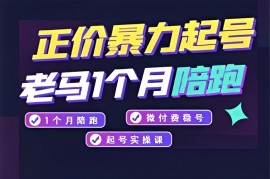 老马电商《正价暴力起号》