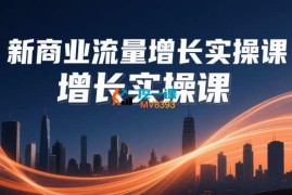 张琦《新商业流量增长实操课》