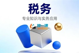 师爷《老板必懂的税务实操逻辑》