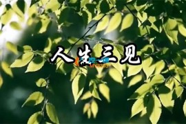 子非鱼《人生三见》