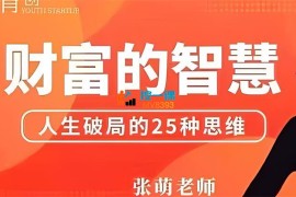 张萌《财富的智慧第十期》