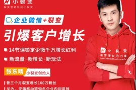 企业微信裂变增长实战课