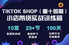 李社长《TikTok Shop 全球店带货训练营第14期》