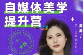 周周《自媒体美学提升营》