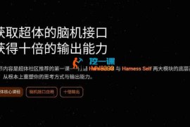 某大佬《超体社区AI深度课程》