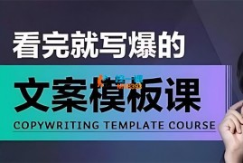 老七米《看完就写爆的文案模板课》