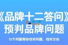 马克《品牌十二答问》