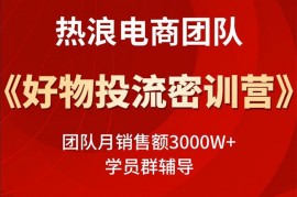 热浪电商《好物投流训练营》