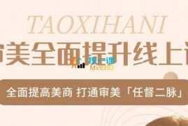 众筹：讨喜Hani·审美全面提升线上课