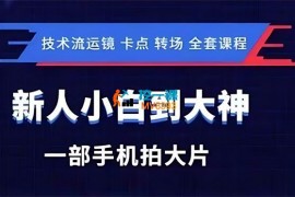 逗哥《技术流从新手小白到大神全套课程》