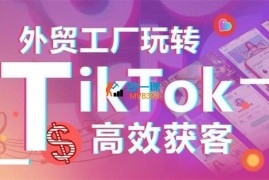 淼森《外贸工厂玩转TikTok高效获客》