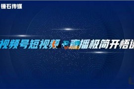 锤石《视频号短视频+直播极简开悟课》