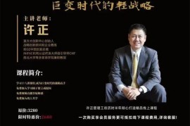 众筹：许正·巨变时代的轻战略