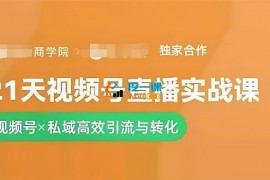 子路《21天视频号直播实战课》