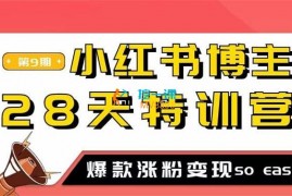 众筹：大鱼师姐·28天小红书博主特训营第9期
