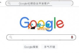 疯狂外贸《Google精准客户开发》