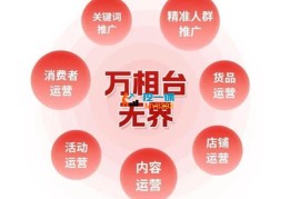 滔哥《淘宝付费玩法无界实操》