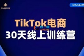 TK大玩家《TikTok电商带货30天线上课》