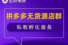 众筹：生财电商·拼多多无货源精细化玩法