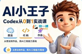 AI小王子《Codex从0到1实战课》
