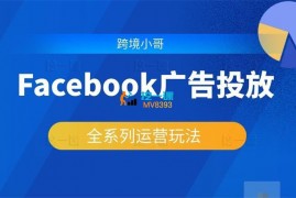 跨境小哥《Facebook广告投放菜鸟到老鸟系列课程》
