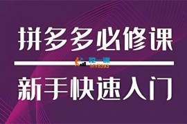 大麦《新手快速入门拼多多必修课》