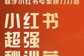 老王电商学院《小红书超强密训营》