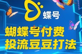 渔财《2025蝴蝶号付费投流豆豆打法》