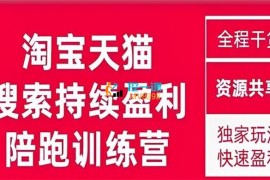 無山《淘宝天猫搜索持续盈利陪跑训练营》