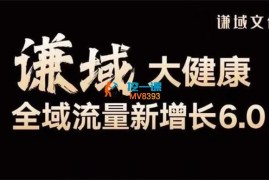 大谦《大健康全域流量新增长》