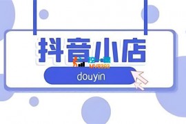 抖音小店运营实战：从零到盈利的全方位指南