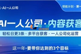 林杰《AI一人公司内容获客》