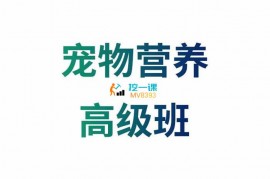 众筹：宠物营养高级班