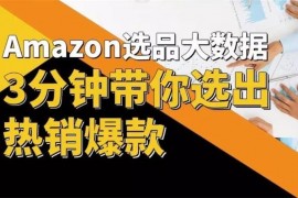 Thomas《亚马逊大数据选品课》