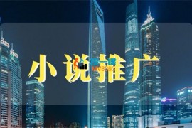 洲洲《小说推广快速变现营》