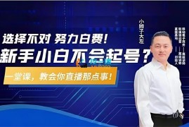 大左《教您从0到1做直播》