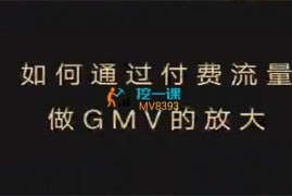 大圣《如何利用付费流量GMV的放大》