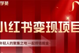 众筹：小红书虚拟资源变现项目